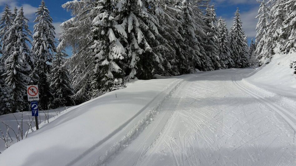 Ski nordic skating Hebalm-Loipe - Touren-Impression #2.1 | © www.langlauf-hebalm.com