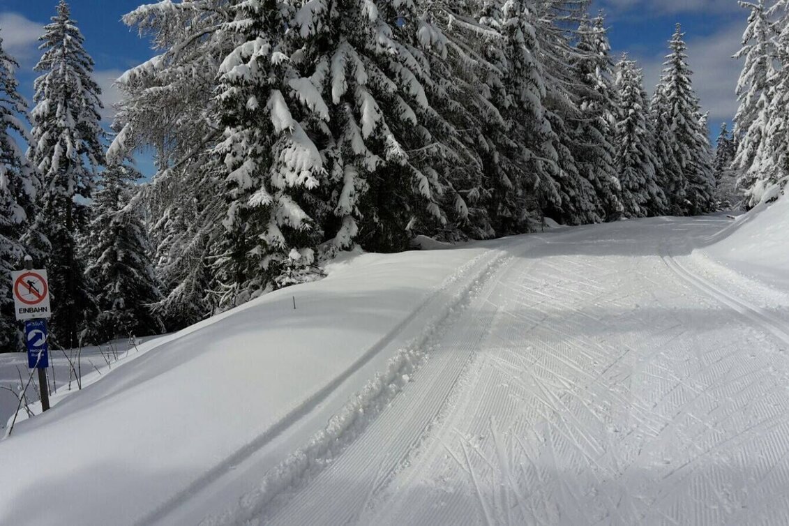 Ski nordic skating Hebalm-Loipe - Touren-Impression #1 | © www.langlauf-hebalm.com