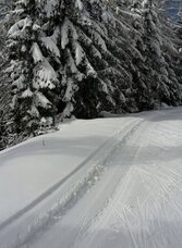 Langlaufen auf der Hebalm | © www.langlauf-hebalm.com | www.langlauf-hebalm.com | © www.langlauf-hebalm.com