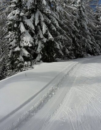 Langlaufen auf der Hebalm | www.langlauf-hebalm.com | © www.langlauf-hebalm.com