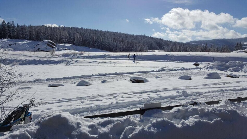 Ski nordic skating Hebalm-Loipe - Touren-Impression #2.2 | © www.langlauf-hebalm.com