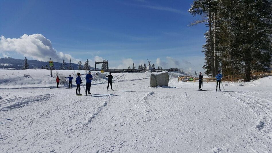Ski nordic skating Hebalm-Loipe - Touren-Impression #2.3 | © www.langlauf-hebalm.com