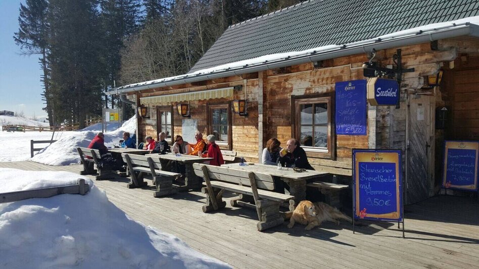 Ski nordic skating Hebalm-Loipe - Touren-Impression #2.4 | © www.langlauf-hebalm.com