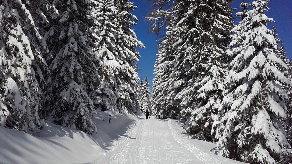 Ski nordic skating Hebalm-Loipe - Touren-Impression #2.8 | © Region Graz