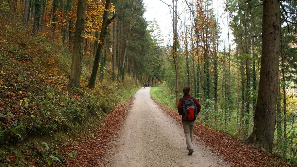 Hiking route Mühlbacher Hütte Rundwanderung über den Kaschlsteig - Touren-Impression #2.1 | © Tourismusregion OberGraz
