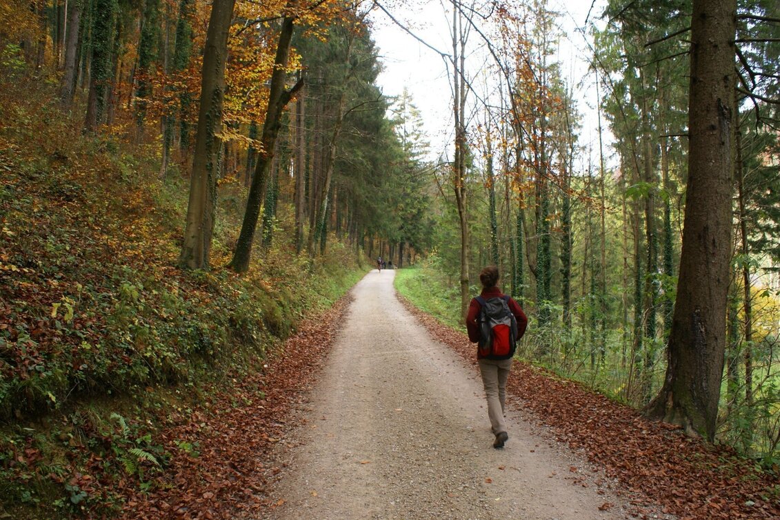Hiking route Mühlbacher Hütte Rundwanderung über den Kaschlsteig - Touren-Impression #1 | © Tourismusregion OberGraz