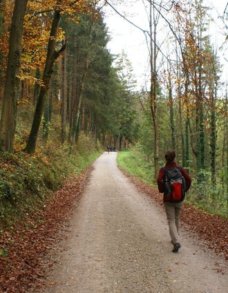kurz nach dem Ausgangspunkt | © Tourismusregion OberGraz