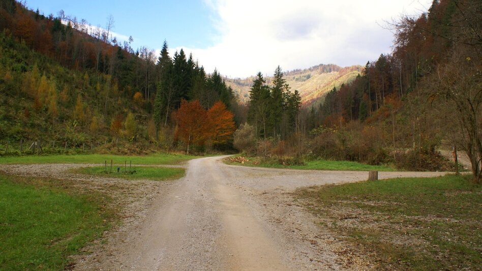 Hiking route Mühlbacher Hütte Rundwanderung über den Kaschlsteig - Touren-Impression #2.2 | © Tourismusregion OberGraz