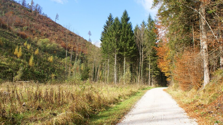 Hiking route Mühlbacher Hütte Rundwanderung über den Kaschlsteig - Touren-Impression #2.3 | © Tourismusregion OberGraz