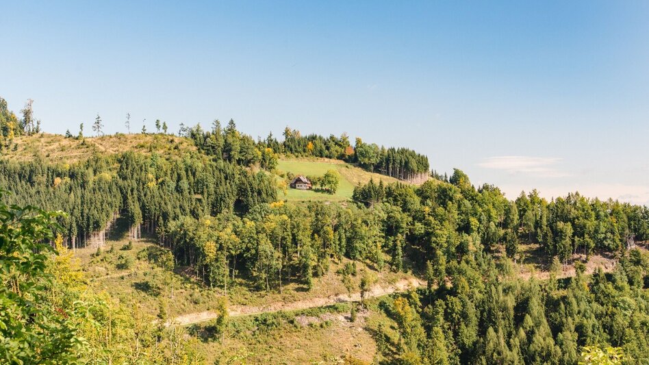 Hiking route Mühlbacher Hütte Rundwanderung über den Kaschlsteig - Touren-Impression #2.13 | © Region Graz