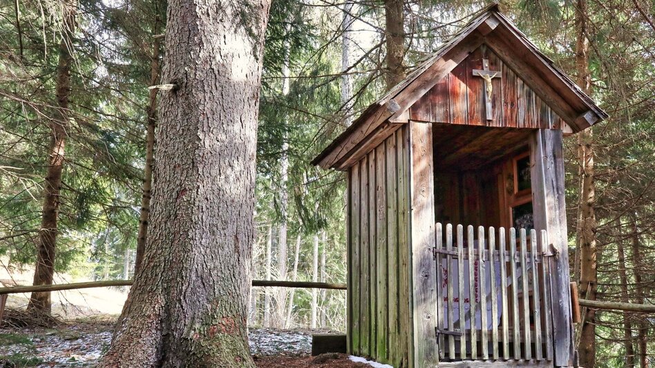 Hiking route Rosenkogel over Sommerriedelweg - Touren-Impression #2.4 | © Weges OG