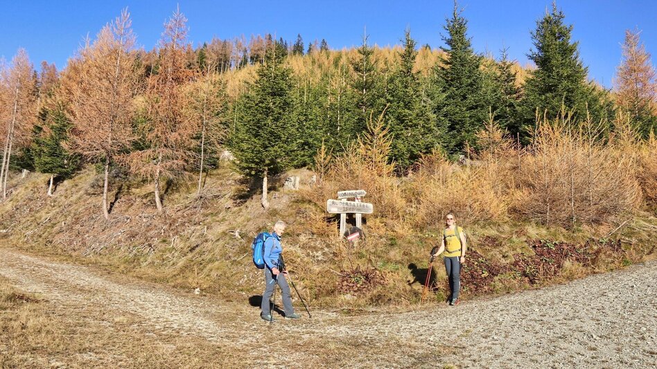 Hiking route Rosenkogel over Sommerriedelweg - Touren-Impression #2.6 | © Weges OG