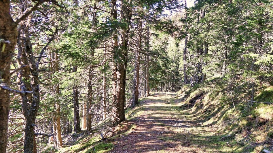 Hiking route Rosenkogel over Sommerriedelweg - Touren-Impression #2.7 | © Weges OG