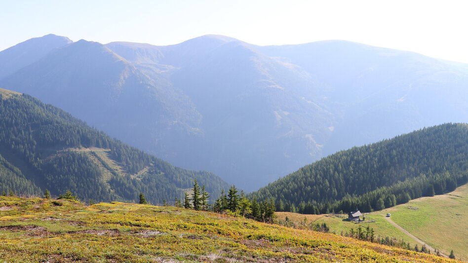 Hiking route Rosenkogel over Sommerriedelweg - Touren-Impression #2.10 | © Isabella Painhapp