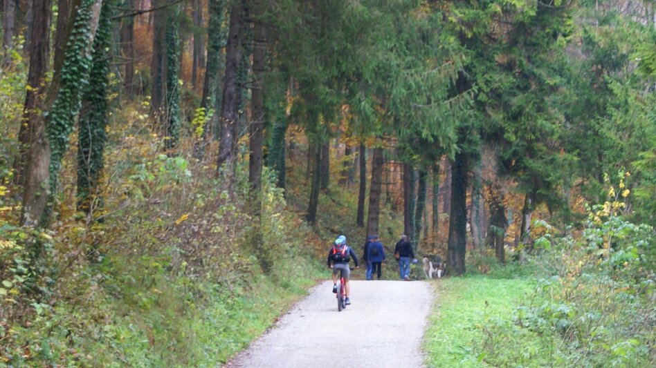 Mountainbike Vier-Tausender-MTB-Runde - Touren-Impression #2.1 | © Region Graz