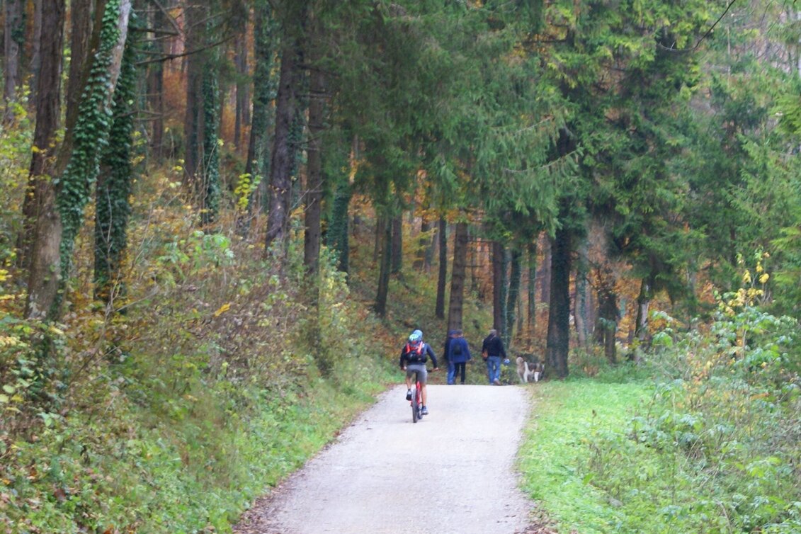 Mountainbike Vier-Tausender-MTB-Runde - Touren-Impression #1 | © Region Graz
