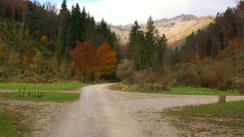 Mountainbike Vier-Tausender-MTB-Runde - Touren-Impression #2.2 | © Region Graz