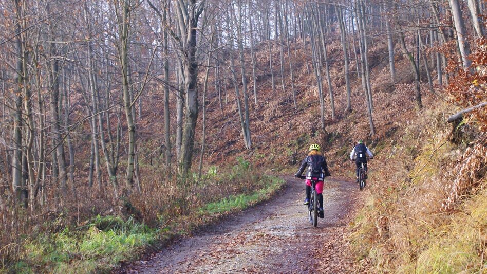 Mountainbike Vier-Tausender-MTB-Runde - Touren-Impression #2.4 | © Region Graz