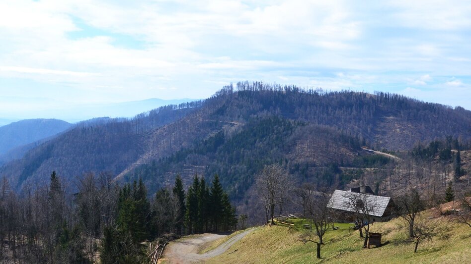 Mountainbike Vier-Tausender-MTB-Runde - Touren-Impression #2.6 | © Region Graz