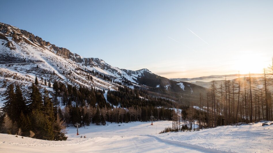 Snowshoe walking WinterWanderWeg auf der Brunnalm - Hohe Veitsch - Touren-Impression #2.1 | © TV Hochsteiermark