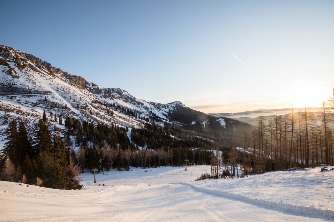 Snowshoe walking WinterWanderWeg auf der Brunnalm - Hohe Veitsch - Touren-Impression #1 | © TV Hochsteiermark