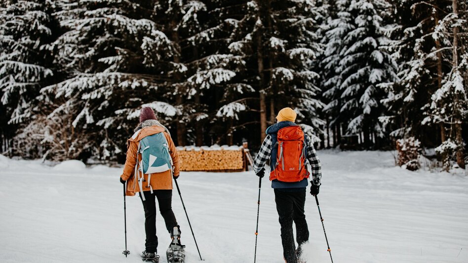 Snowshoe walking WinterWanderWeg auf der Brunnalm - Hohe Veitsch - Touren-Impression #2.3 | © TV Hochsteiermark