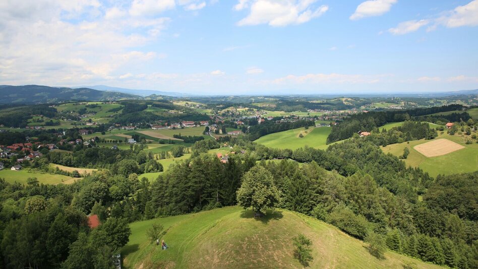 Hiking route Turmbauerweg - Touren-Impression #2.1 | © TVB/Südsteiermark/Nora Ruhri