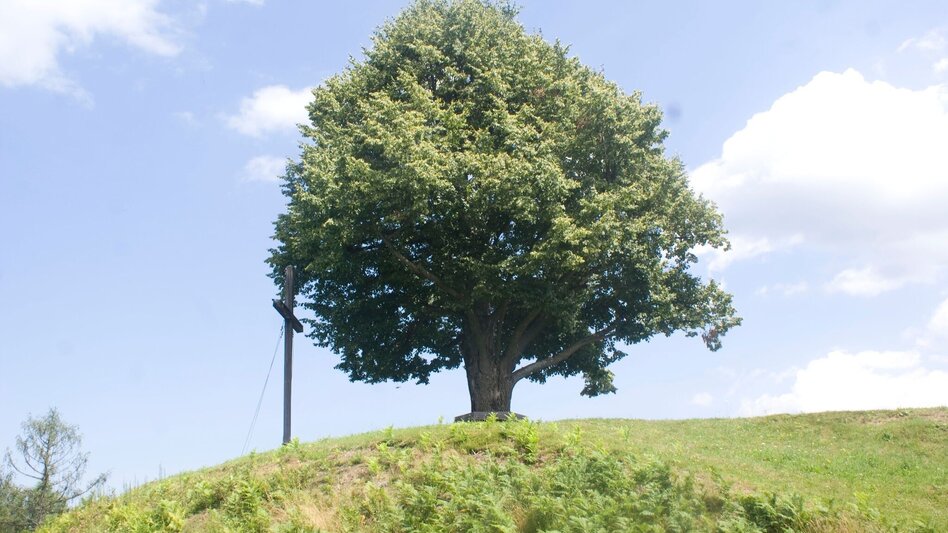 Hiking route Turmbauerweg - Touren-Impression #2.2 | © TVB/Südsteiermark/Nora Ruhri