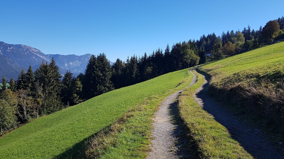 Wanderung Über die Wieslechalm auf die Planai - Weg #50 - Touren-Impression #2.1 | © Gerhard Pilz
