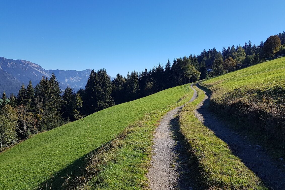 Wanderung Über die Wieslechalm auf die Planai - Weg #50 - Touren-Impression #1 | © Gerhard Pilz