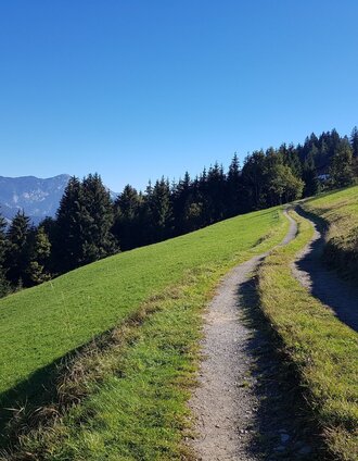 Wanderweg #50 auf die Planai | Gerhard Pilz | © Gerhard Pilz