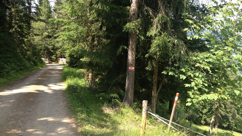 Wanderung Über die Wieslechalm auf die Planai - Weg #50 - Touren-Impression #2.3 | © Gerhard Pilz