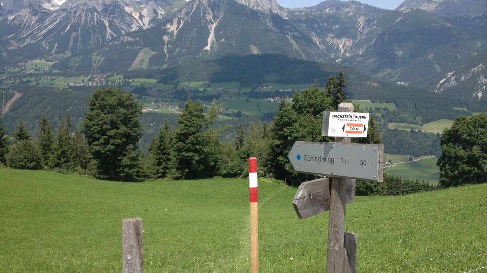 Wanderung Über die Wieslechalm auf die Planai - Weg #50 - Touren-Impression #2.4 | © Gerhard Pilz
