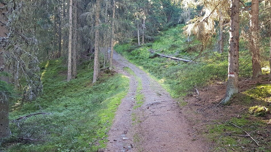 Wanderung Über die Wieslechalm auf die Planai - Weg #50 - Touren-Impression #2.6 | © Gerhard Pilz