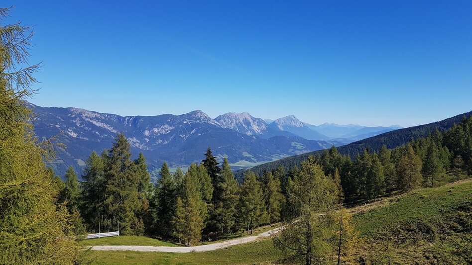 Wanderung Über die Wieslechalm auf die Planai - Weg #50 - Touren-Impression #2.7 | © Gerhard Pilz