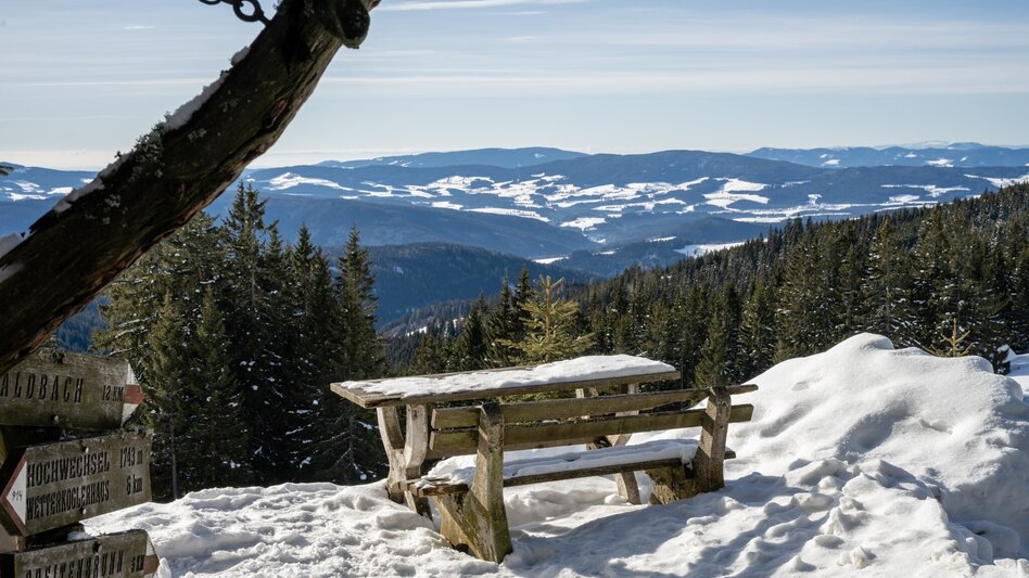 Schneeschuh Hochwechsel - Schneeschuhtour entlang der Schwaigen, Waldbach-Mönichwald - Touren-Impression #2.3