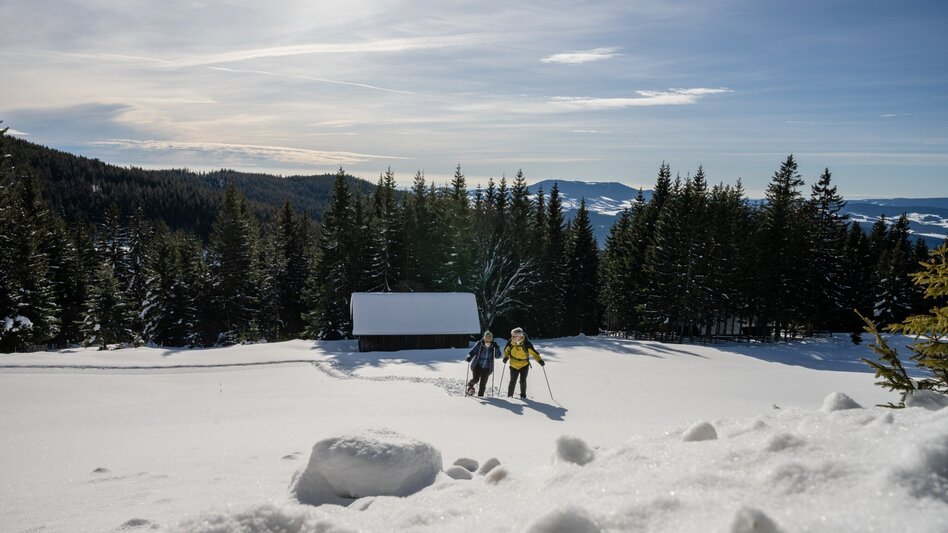 Schneeschuh Hochwechsel - Schneeschuhtour entlang der Schwaigen, Waldbach-Mönichwald - Touren-Impression #2.4