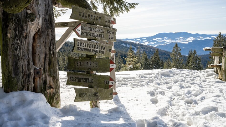 Schneeschuh Hochwechsel - Schneeschuhtour entlang der Schwaigen, Waldbach-Mönichwald - Touren-Impression #2.5