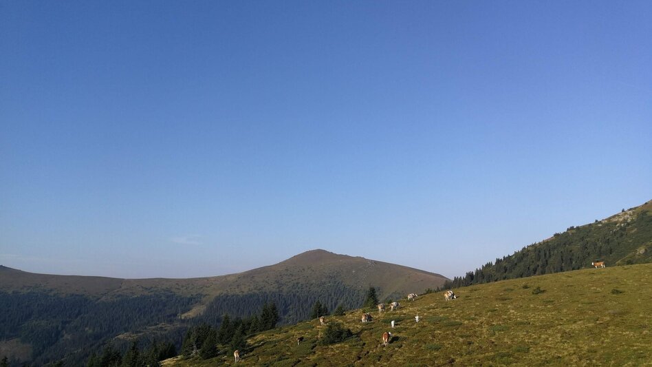 Hiking route Salzstiegl - Speikkogel - Touren-Impression #2.10 | © Erlebnisregion Murtal