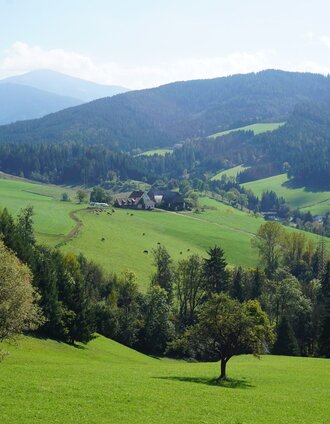 Wunderschöne Aussicht in den Feebergraben. Im Hintergrund sieht man Größenberg und Amering. | 50plus Campingpark Fisching | © Erlebnisregion Murtal