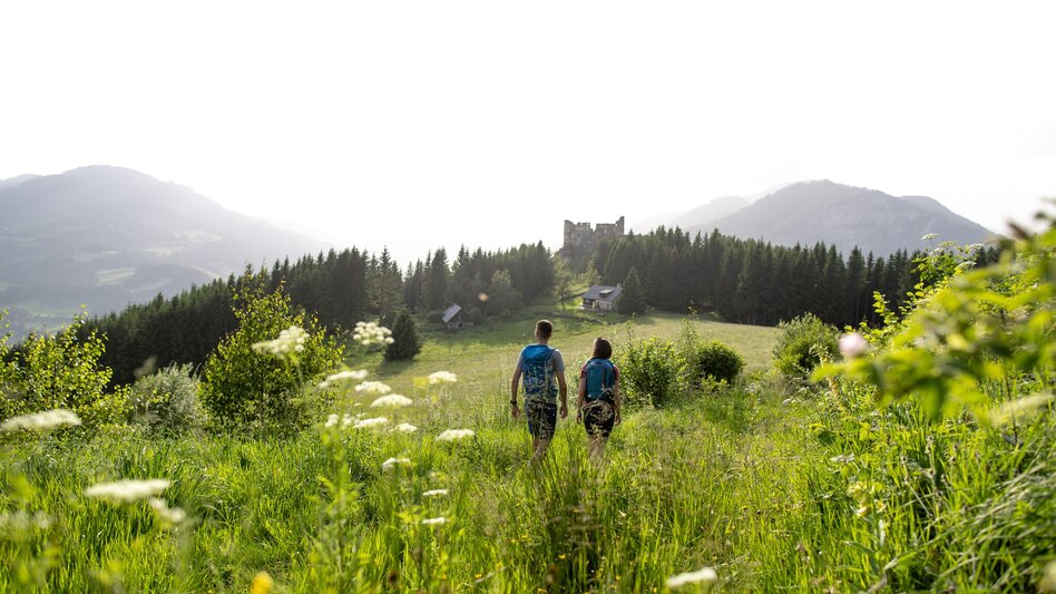 Hiking route Perchau, Kreuzeck, Steinschloss - Touren-Impression #2.1 | © TVB Murau