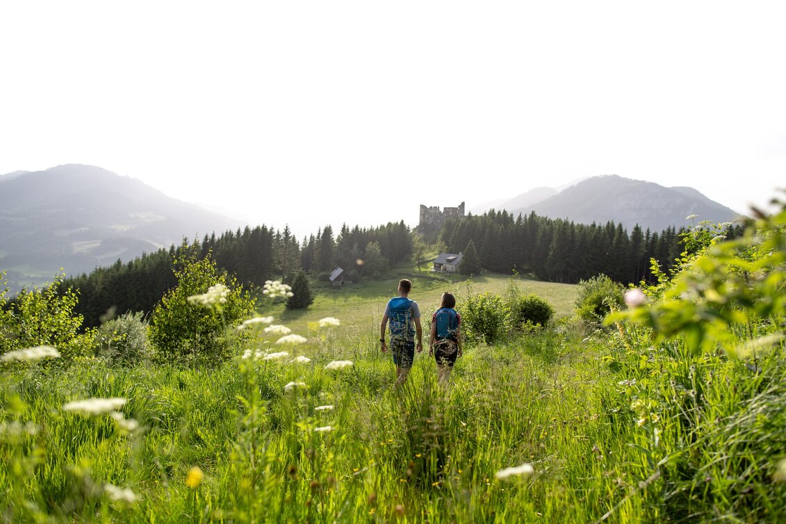 Hiking route Perchau, Kreuzeck, Steinschloss - Touren-Impression #1 | © TVB Murau