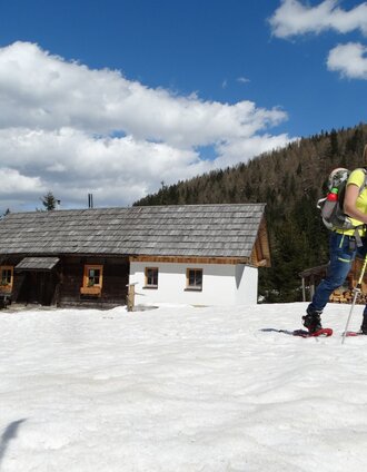 On the way to Hintere Mörsbachalm | Schladming Dachstein - TVB Grimming-Donnersbachtal | © Weges