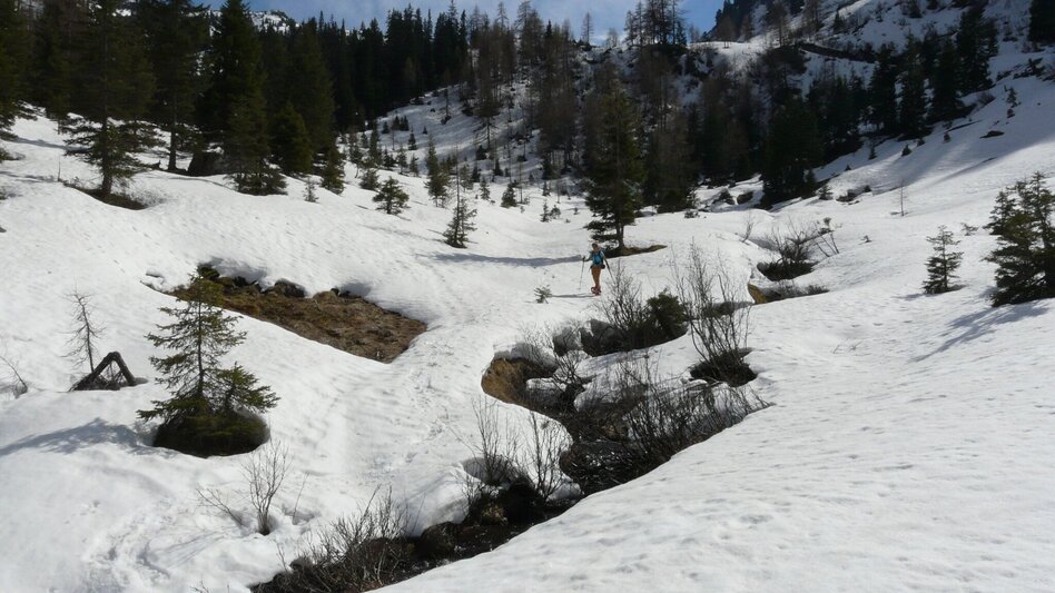 Snowshoe walking Snowshoe hiking tour Hintere Mörsbachalm - Touren-Impression #2.4 | © Weges