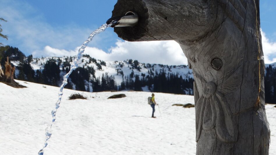 Snowshoe walking Snowshoe hiking tour Hintere Mörsbachalm - Touren-Impression #2.5 | © Weges