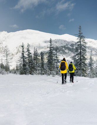 Unterwegs im Winterwald Richtung Hochplateau | Christoph Lukas | © Erlebnisregion Schladming-Dachstein