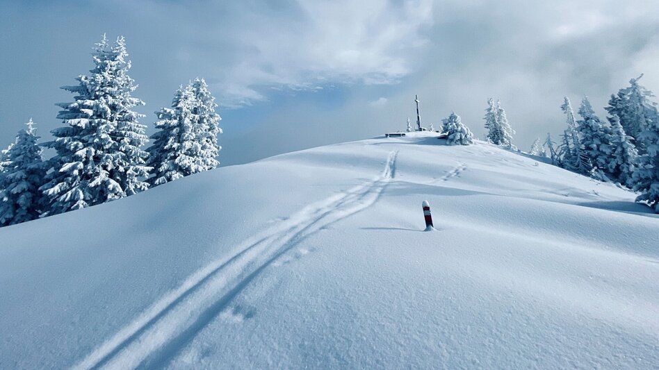Schneeschuh Schneeschuhwanderung zur Hohen Trett - Touren-Impression #2.6 | © Erlebnisregion Schladming-Dachstein