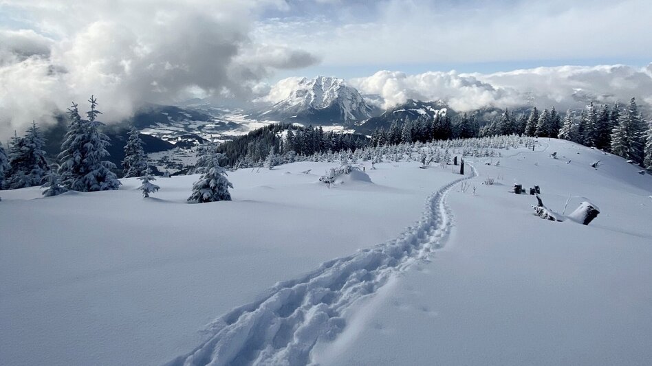 Schneeschuh Schneeschuhwanderung zur Hohen Trett - Touren-Impression #2.7 | © Erlebnisregion Schladming-Dachstein