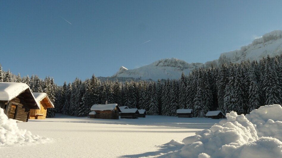 Ski nordic skating Blaa Alm cross-country ski-track - Touren-Impression #2.4 | © Ausseerland