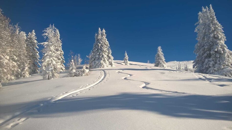 Skitour Gstoder ab Seetal - Touren-Impression #2.1 | © Tourismusverband Murau